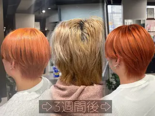 カラー ルシ🎨/ハイトーン デザイン/髪質改善のヘアスタイル