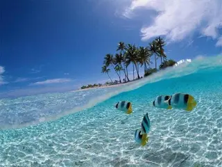 𝐘𝐎𝐒𝐇𝐈 𝐌𝐈🌞🏝のマツエク・マツパデザイン