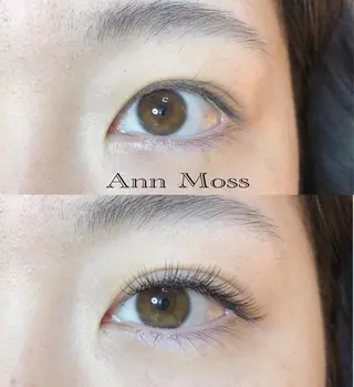 マツエク・マツパ 無料モデル募集中 Ann Mossのマツエク・マツパデザイン