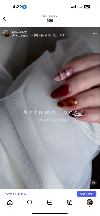 ネイル Lua.nail所属・🫧Lua.nail 🍒emuのネイルデザイン