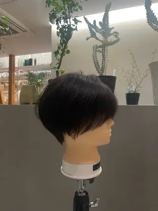 ショート 宮本 茉衣子のヘアスタイル