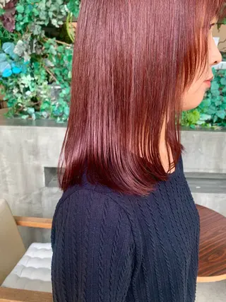 セミロング 田中 亜沙美のヘアスタイル