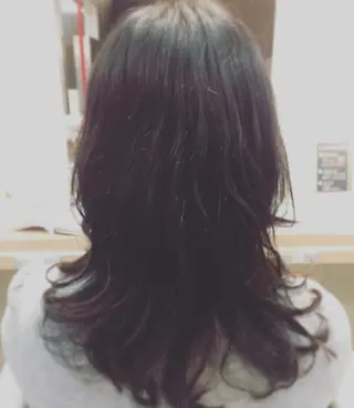 ミディアム セミロング パーマ ショート特化⭐️浅田 大輝Orangeのヘアスタイル