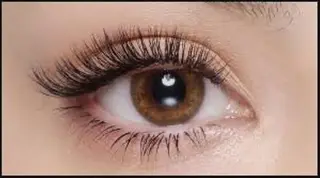 マツエク・マツパ Mayuru Yuu‪𖤐.*ﾟのマツエク・マツパデザイン