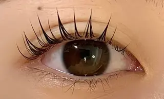 マツエク・マツパ TORCH 青柳のマツエク・マツパデザイン