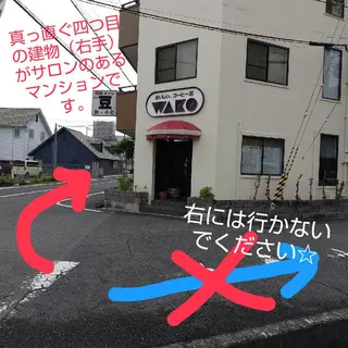 リアン Lienのマツエク・マツパデザイン