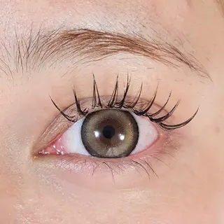 マツエク・マツパ Embellir/ "Aine"🕊のマツエク・マツパデザイン