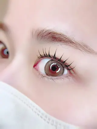 マツエク・マツパ Fave【フェイブ】 まつパ/眉毛/メンズの眉毛・アイブロウイメージ