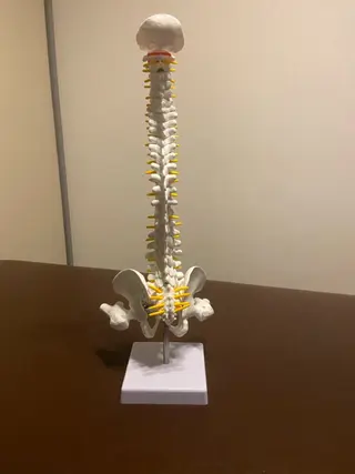 腰痛、肩こり専門/ 整体院　晴のエステ・リラクイメージ