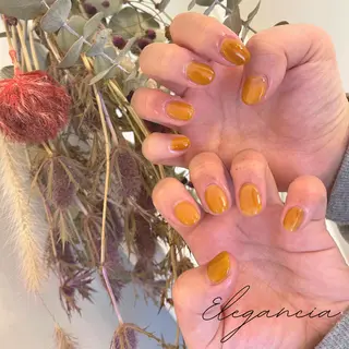 カラー ネイル Elegancia. Hiromiのネイルデザイン