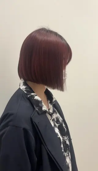 最強美髪💙ྀི/ アイ兼任👀/ミナルのヘアスタイル