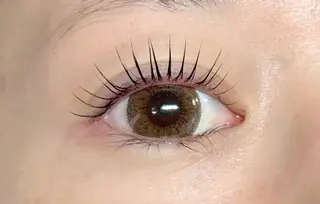 マツエク・マツパ CITRON ⭐︎のマツエク・マツパデザイン