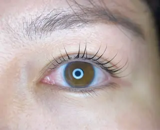 マツエク・マツパ eye beauty sfidaのマツエク・マツパデザイン