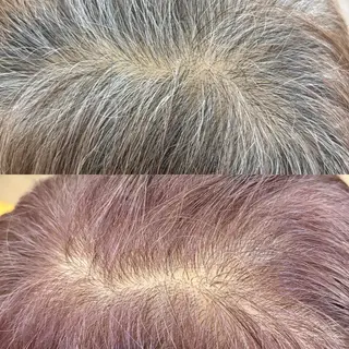 ショート カラー 【マンツーマン接客】 ✂︎🟡酒井司🟡のヘアスタイル