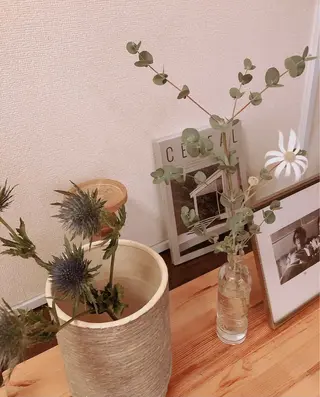 マツエク・マツパ なかむら 🪡のマツエク・マツパデザイン