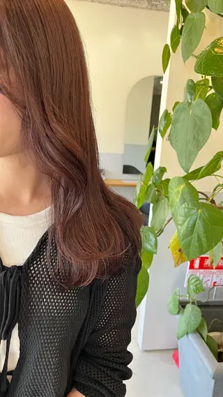 セミロング 神谷 夏帆のヘアスタイル