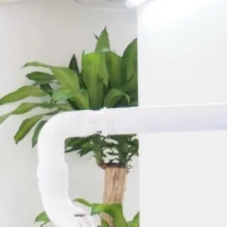 ロング カラー パーマ ヘアアレンジ メンズ キッズ セルフホワイトニング サロンMW錦糸町店のその他イメージ