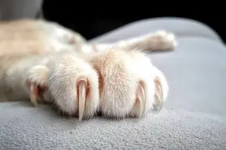 ネイル 古川 真理枝のネイルデザイン