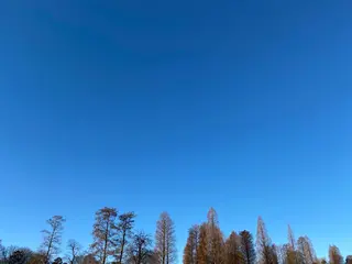 Twinkle Twinkleのエステ・リラクイメージ