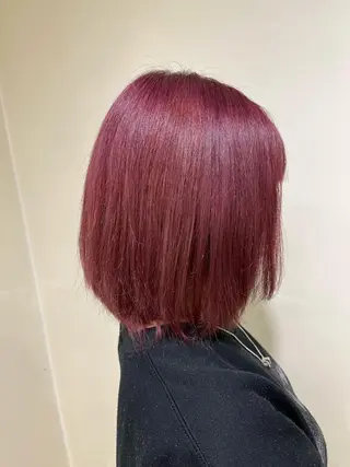 ショート カラー 田中 沙羅のヘアスタイル