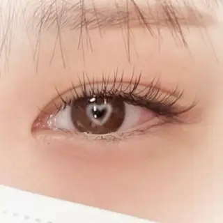 マツエク・マツパ 【ダメージケア特化】 🌸 サクララッシュの眉毛・アイブロウイメージ