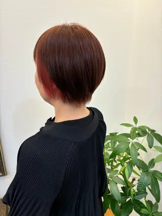 ショート カラー ツノガイ エリのヘアスタイル