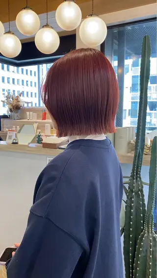 ショート ️🫧️韓国ヘア🫧 ボブ🎈/RUIのヘアスタイル