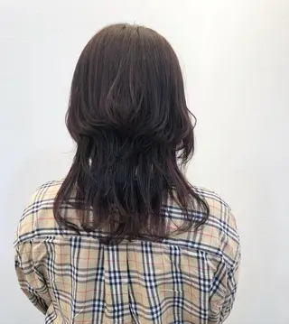 セミロング ツノガイ エリのヘアスタイル