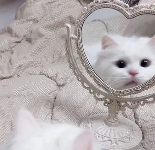 マツエク・マツパ 🫧 nanoka。🫧のマツエク・マツパデザイン