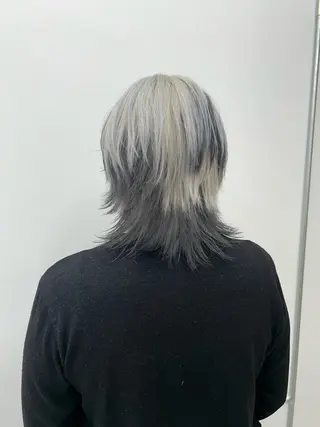 カラー ハイトーン/レイヤー 🌸さくらのヘアスタイル