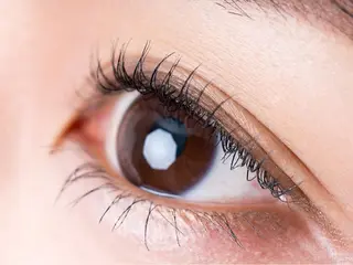 マツエク・マツパ 横山 麗のマツエク・マツパデザイン