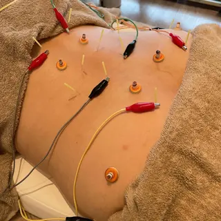 Salus鍼灸サロン 浅田のエステ・リラクイメージ