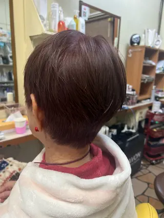 ショート 酒井 さおりのヘアスタイル