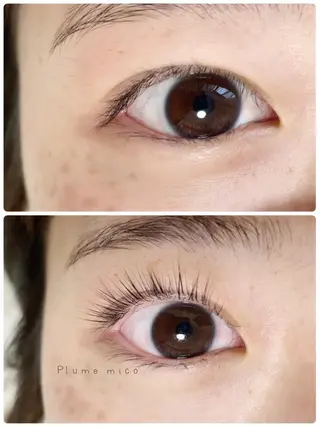 マツエク・マツパ Plume micoのマツエク・マツパデザイン