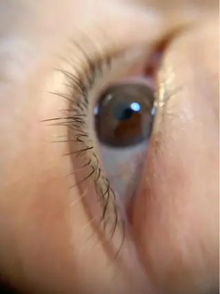 マツエク・マツパ Eyelash feliciteのマツエク・マツパデザイン