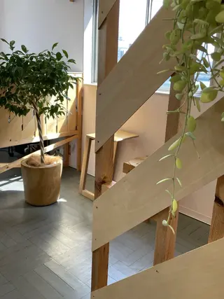 アイブロウ piha MOEKOのマツエク・マツパデザイン