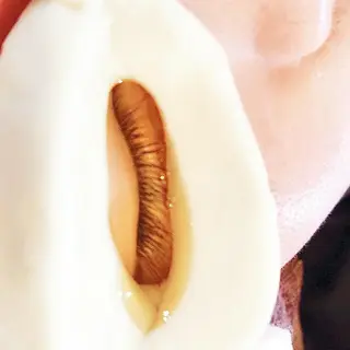 サロン プランギのその他イメージ