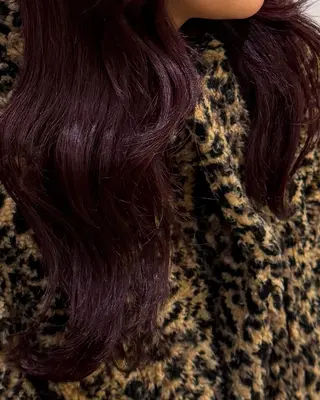 セミロング カラー こぐれ みさきのヘアスタイル