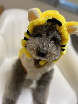 nail salon LNのネイルデザイン