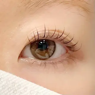 マツエク・マツパ eyelash plan所属・【plan】 kiyotakaのマツエク・マツパデザイン