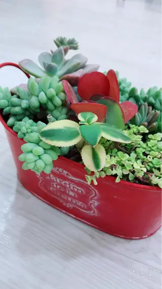 田中 真澄美のエステ・リラクイメージ