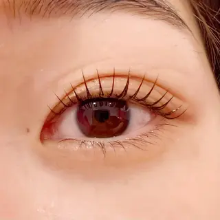 マツエク・マツパ 🧸Celeste Venusのマツエク・マツパデザイン