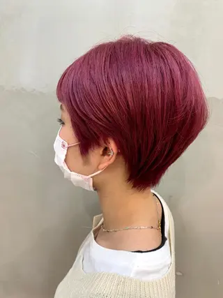 ショート カラー 堤 麻衣子のヘアスタイル