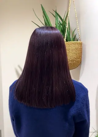 ミディアム カラー ヘアアレンジ 久野紗愛 【髪質改善　艶髪】のヘアスタイル