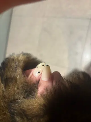 ネイル mano Hanaのネイルデザイン