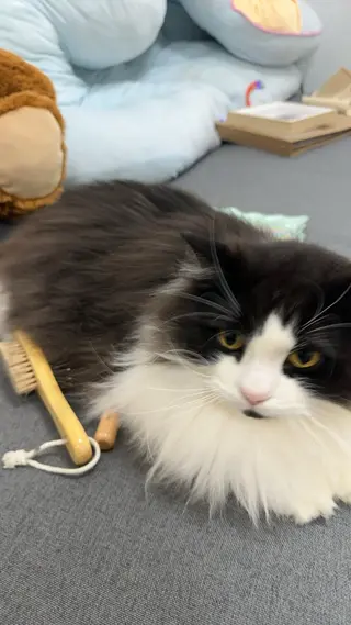 ネイル Eveネイル チップスカルプ専門店のネイルデザイン