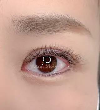 マツエク・マツパ 無料モデル募集中 Ann Mossのマツエク・マツパデザイン