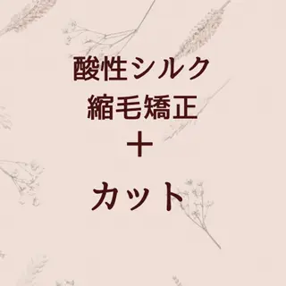 月100人以上 髪質改善施術｜谷口のヘアスタイル