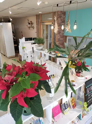 野田 茉希のヘアスタイル