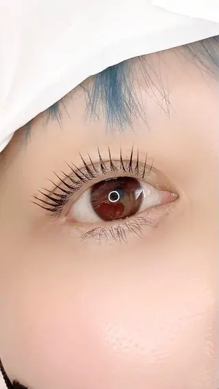 マツエク・マツパ eyelash "Koa"🕊🤎のマツエク・マツパデザイン